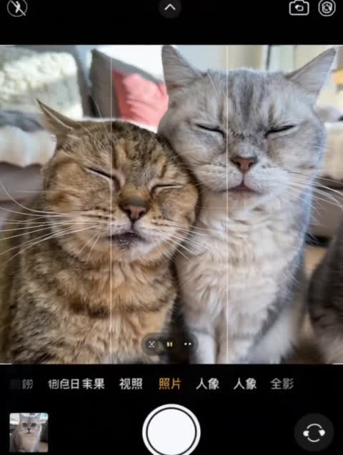拍照